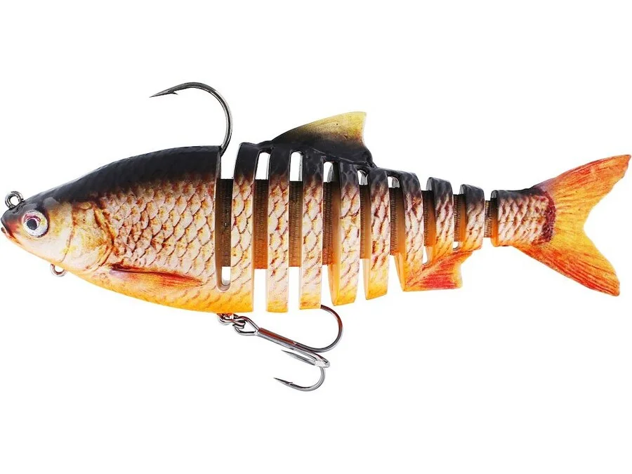 RICKY THE ROACH MULTI JOINTED R2F Real Roach