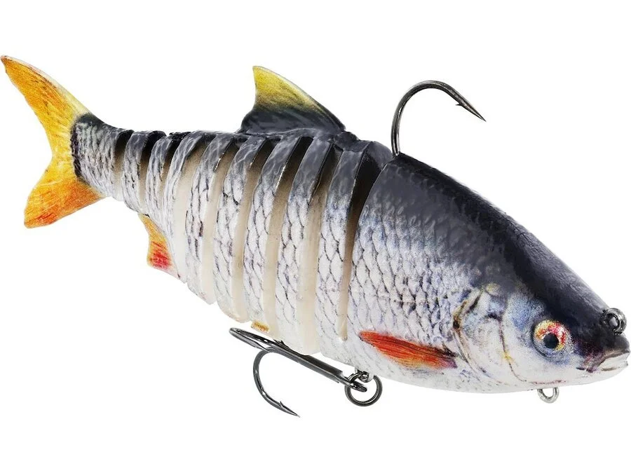 RICKY THE ROACH MULTI JOINTED R2F Real Roach