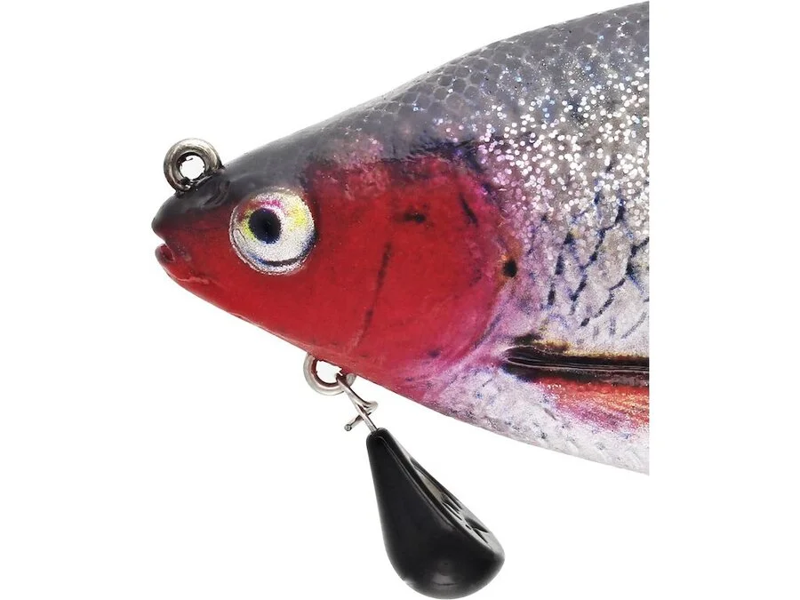 RICKY THE ROACH MULTI JOINTED R2F Real Roach