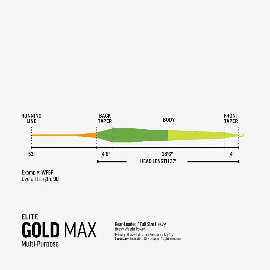 RIO Elite Gold Max WF-4-F
