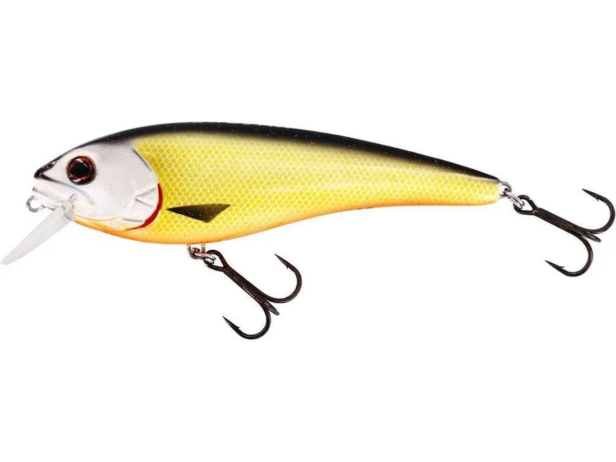 WESTIN RAWBITE Offical Roach 11 CM